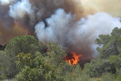 Flames d'un incendi a la zona de la Collada del Perelló
