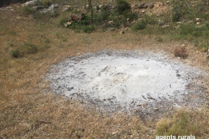 La causa de l'incendi ha estat la crema de restes agrícoles de poda d'olivera sense mesures de prevenció.