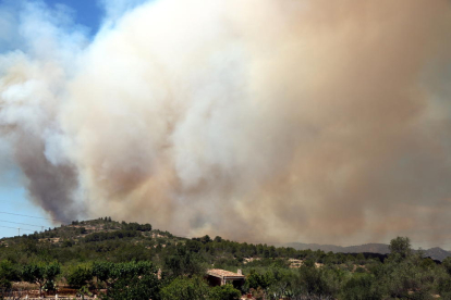 La columna de fum de l'incendi que s'ha declarat a la Collada del Perelló i que ja ha cremat 60 hectàrees de superfície forestal, el 10 de juny del 2019 (horitzontal).