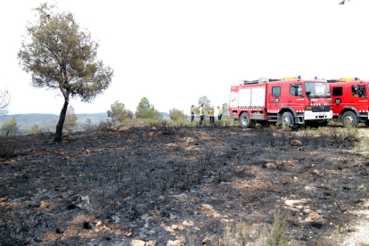 Efectivos de los bomberos descansando en una zona afectada por el incendio del Perelló.