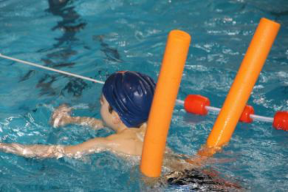 Els cursos de natació es distribueixen per grups d'edat i nivell: nadons, iniciació de primer nivell, iniciació de segon nivell, perfecció, cursos d'adults i aiguagim.