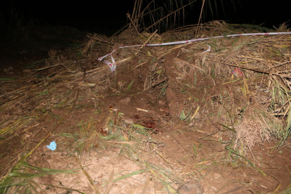 Imatge de la zona de la Pobla de Mafumet on s'ha trobat el cos d'un home que podria ser un dels desapareguts per la llevantada a la Conca del Barberà. Publicada el 27 d'octubre del 2019 (horitzontal)