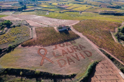 Imagen del mensaje escrito con un tractor en una finca agrícola.