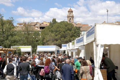 Decenas de personas ante|delante de varios expositores de la 24.ª edición de la Feria del Vino de Falset, en mayo del 2019.