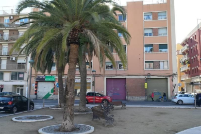 El proyecto prevé la plantación de seis palmeras para ofrecer más sombra a los usuarios.