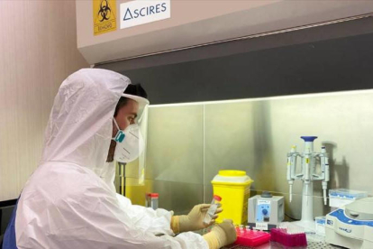 Imatge d'una investigadora amb el nou test PCR.