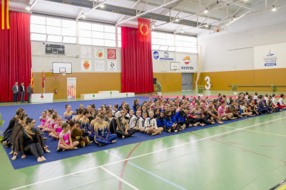 En la competició hi van prendre part 130 gimnastes procedents de 18 equips d'arreu de Catalunya.