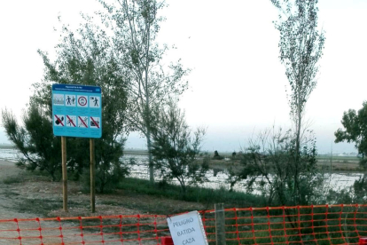 Imagen del acceso al filtro verde del Goleró, de Deltebre, con el paso cerrado por una batida de caza.