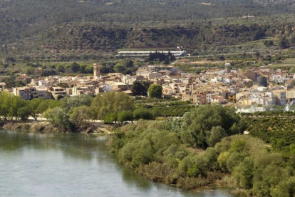 Imatge del municipi de Xerta.
