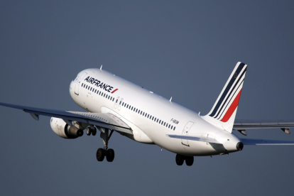 Imatge d'un avió d'Air France.