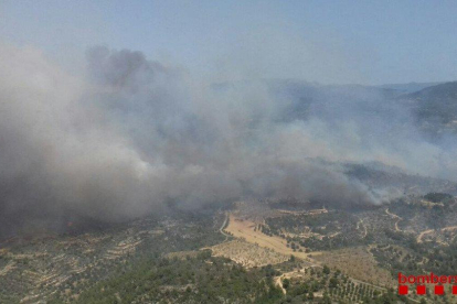Imatge aèria de l'incendi forestal de Ribera d'Ebre.