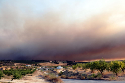 Imatges del fum que es pot veure des de Llardecans provinent de l'incendi que crema a la Ribera d'Ebre, el 26 de juny del 2019