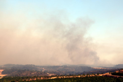 Imatge de l'incendi que afecta la Ribera d'Ebre des del mirador de Maials, el 27 de juny del 2019