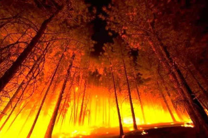 Imatge del foc que crema a la RIbera d'Ebre.
