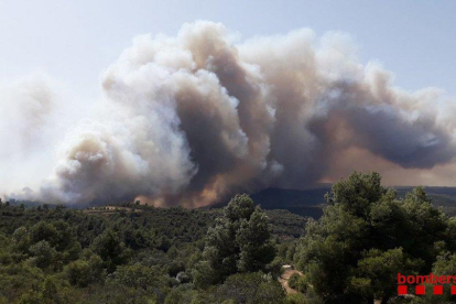 Imatge del flanc dret d'un incendi entre Vinebre i la Torre de l'Espanyol, a la Ribera d'Ebre, el 26 de juny del 2019. Pla general