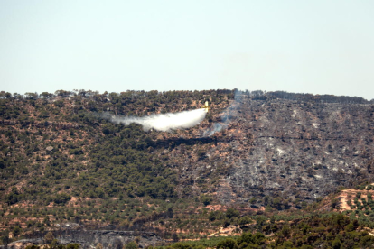Un hidroavió descarrega aigua a la zona de l'incendi, entre els termes municipals de Bovera i Flix, el 28 de juny del 2019
