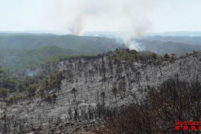 Imagen de la zona quemada de la Ribera d'Ebre.