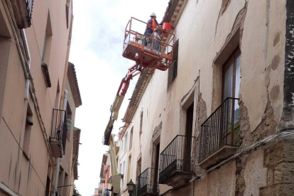 Efectius d'Agents Rurals i la Policia Local de Cambrils hi han treballat per recollir els ous de les aus