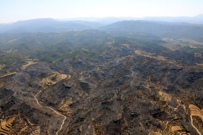 Gran pla geneal de la zona afectada per l'incendi de la Ribera d'Ebre. Imatge publicada el 28 de juny del 2019