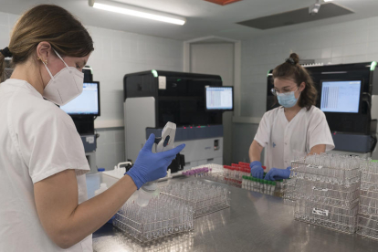 Imagen de personal de laboratorio analizando las pruebas PCR.