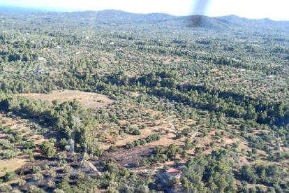 Imagen aérea del incendio.