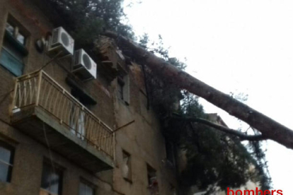 Un arbre ha caigut a sobre d'un sostre d'un edifici al Molar.