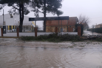 Plano general de la entrada de las instalaciones deportivas de Deltebre, con destrozos a causa del temporal Gloria.