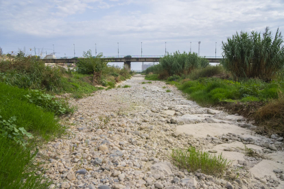 Imatge de la llera del tram final del Riu Francolí totalment seca, una situació que es repeteix constantment en els mesos d'estiu.