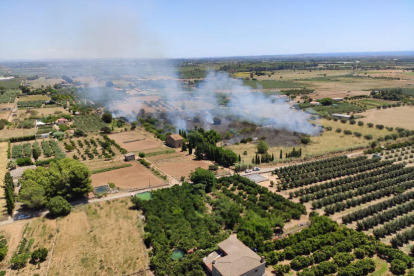 Imatge de l'incendi que s'ha produit aquest matí a prop de Montbrió
