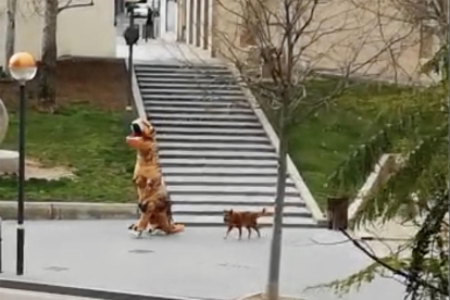 Un vecino de Cambrils decidió salir a pasear la mascota disfrazado de dinosaurio.