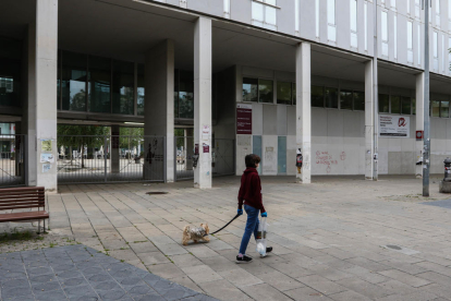 Una persona passeja un gos davant de l'accés a l'interior del Campus Catalunya tancat.
