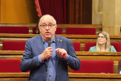 El consejero|conseller Bargalló durante la comparecencia al pleno del Parlament de Catalunya.