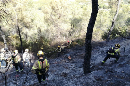 Bomber treballant en les tasques d'extinció d'un incendi que s'ha declarat al terme municipal de Vinebre (Ribera d'Ebre)