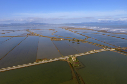 Plano aéreo de arrozales inundados con agua del mar en la zona de la Marquesa, en el Delta del Ebro.