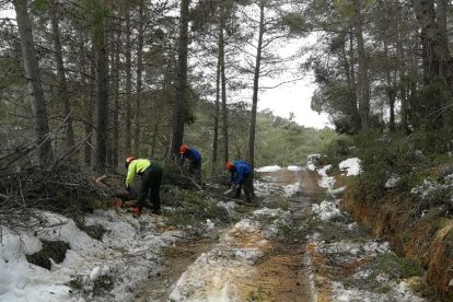 Más de una decena de efectivos trabajan para liberar los accesos, afectados por caída de árboles y desprendimientos.