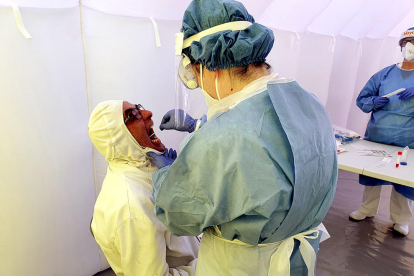 Una enfermera cogiendo muestras por|para la prueba PCR de detección de la covid a un empleado de Padesa en Roquetes.