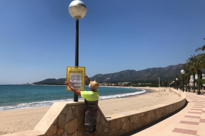 Plano general de un operario del Ayuntamiento de Vandellòs i l'Hospitalet de l'Infant colocando un cartel informativo en una de las playas del municipio.