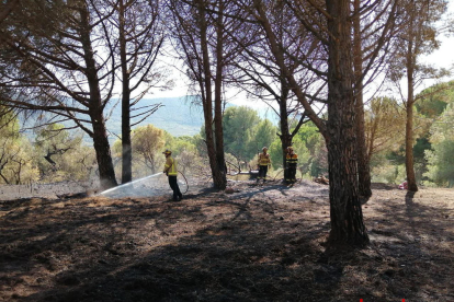 Un grup de Bombers apagant l'incendi d'avui a Alforja