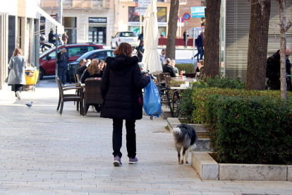 Una mujer paseando un perro por el centro de Gerona