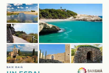 Imatge del portal del nou web del Baix Gaià.