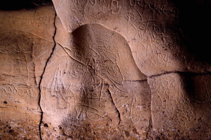 Detalles de los grabados localizados en el interior de la Cova de la Font Major.
