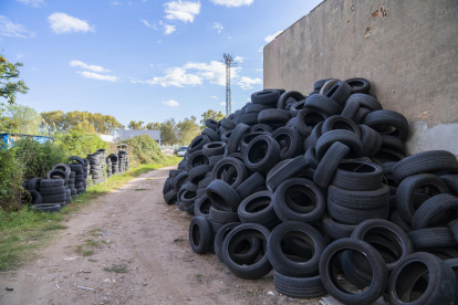 Imatge de l'acumulació de pneumàtics a un camí a tocar de la carretera de València.
