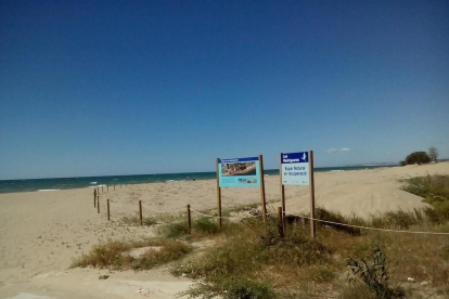 Imatge d'arxiu de la platja de les Madrigueres del Vendrell.