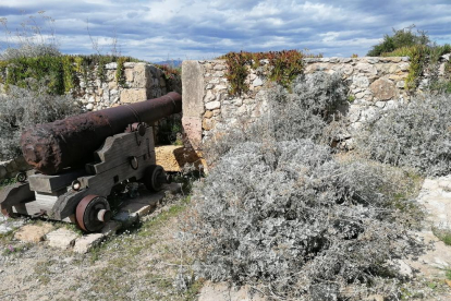 Les herbes envolten els canons localitzats en diferents espais del Passeig Arqueològic.