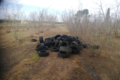 Imatge d'un abocament incontrolat de pneumàtics a una finca de Vilallonga del Camp.