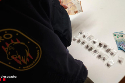 Imatge de la droga intervinguda pels mossos