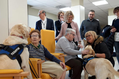 Pla general de pacients amb els gossos del tractament terapèutic que s'ha incorporat.