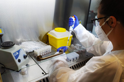 Una profesional del Laboratorio Clínico de la Fundació Salut Empordà procesando muestras de PCR.