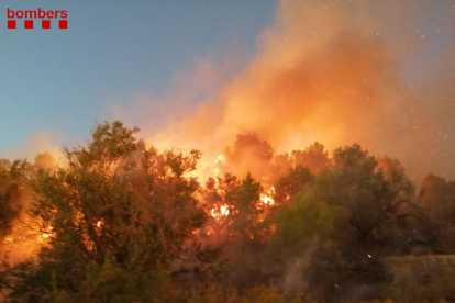 Imatge d'arbres en flames a l'incendi de vegetació a Tortosa.