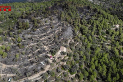 Zona forestal afectada por el incendio en el Coll Redó de Tortosa.